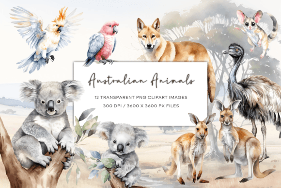 Download Australian Watercolor Animals Clipart - Watercolor animals clipart Collection