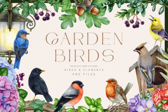 Download Garden Birds Watercolor Illustration Set - Bird Collection